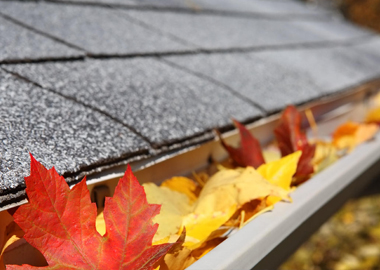 Gutter Cleaning