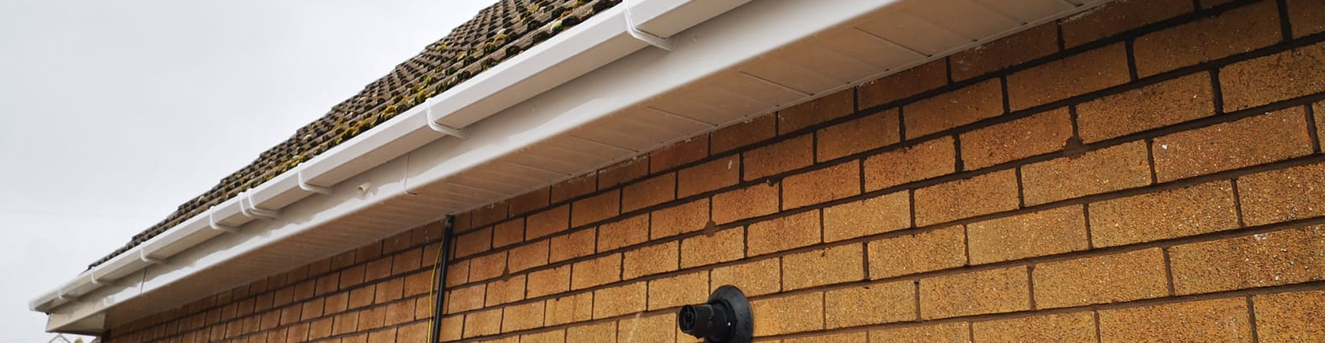 Fascia & Soffit Cleaning